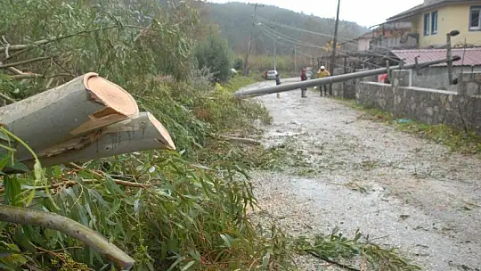 Hortum İnlice'de zarara yol açtı 