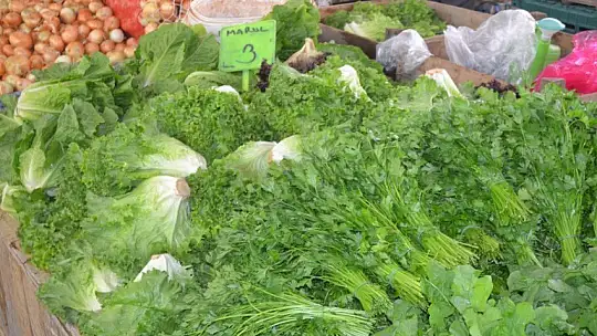 Başkan Hıra, 'Tatilci çok, iş yok'