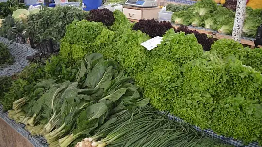 Başkan Hıra, 'Tatilci çok, iş yok'