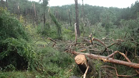Hortum İnlice'de zarara yol açtı 