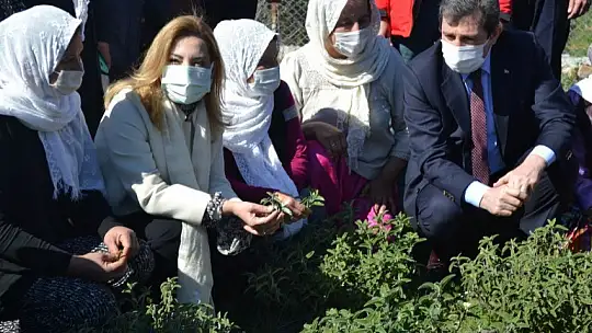 Fethiye'de Endemik Bitkiler Müzesi kurulacak 