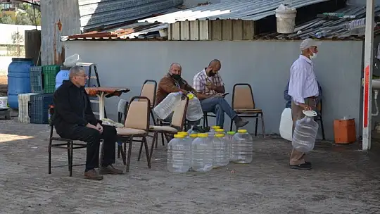 Zeytinyağının fiyatı artıyor