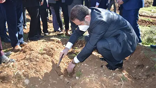 Fethiye'de Endemik Bitkiler Müzesi kurulacak 