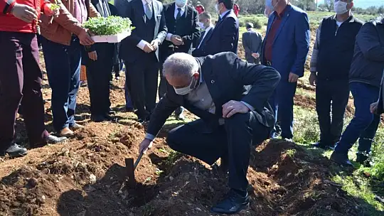 Fethiye'de Endemik Bitkiler Müzesi kurulacak 