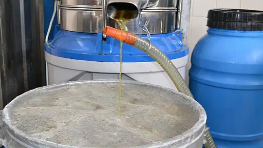 Zeytinyağının fiyatı artıyor