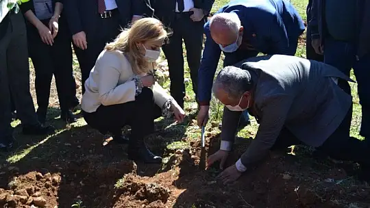 Fethiye'de Endemik Bitkiler Müzesi kurulacak 