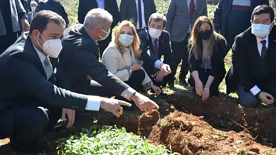 Fethiye'de Endemik Bitkiler Müzesi kurulacak 