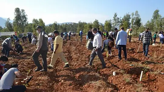 Fethiye'de geleceğe nefes