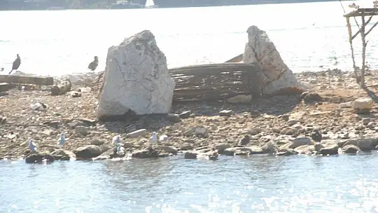 Ördeklerin ayrılamadığı mekan