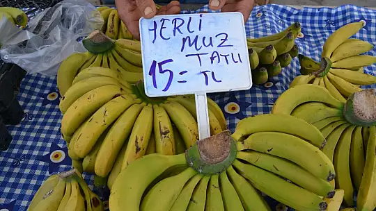 YAZ MEYVELERİ TEZGÂHTA