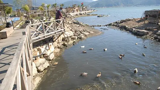 Ördeklerin ayrılamadığı mekan