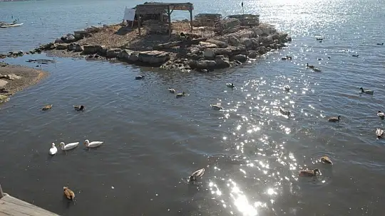 Ördeklerin ayrılamadığı mekan