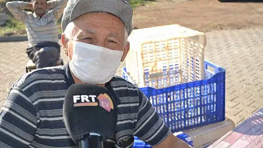 Zeytinyağı fabrikalarında hareketlilik