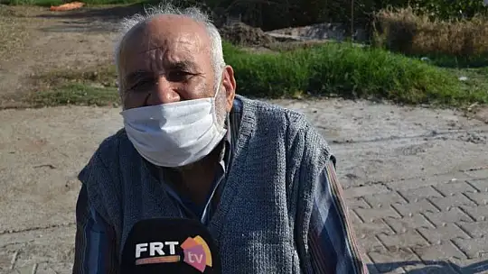 Zeytinyağı fabrikalarında hareketlilik