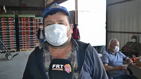 Domateste ihracat hız kesmiyor