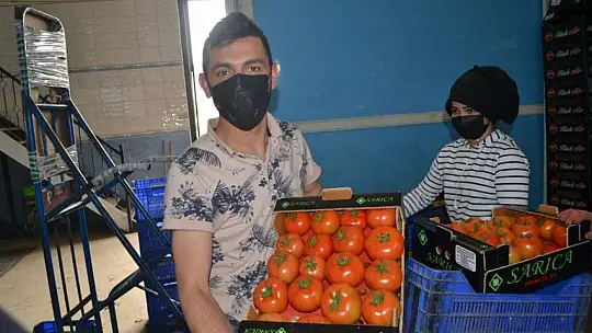 AB ülkelerine günlük 2 bin ton yaş sebze ve meyve gidiyor