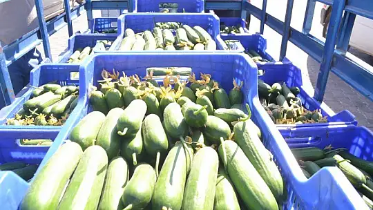 Çiftçi Özer Çakal, 'Çiftçinin emekleri ile bu kadar oynamasınlar'