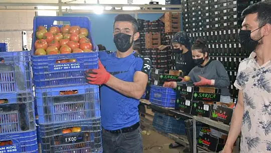 AB ülkelerine günlük 2 bin ton yaş sebze ve meyve gidiyor