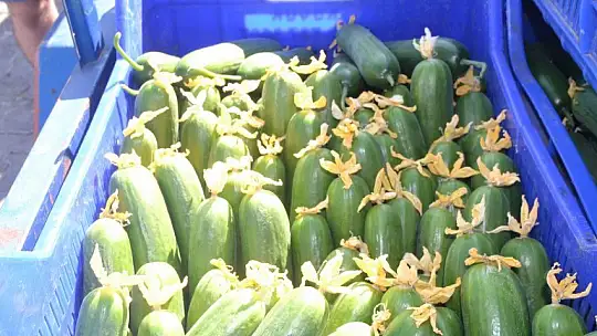 Çiftçi Özer Çakal, 'Çiftçinin emekleri ile bu kadar oynamasınlar'