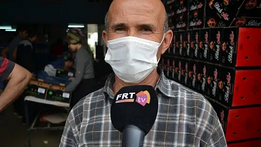 AB ülkelerine günlük 2 bin ton yaş sebze ve meyve gidiyor