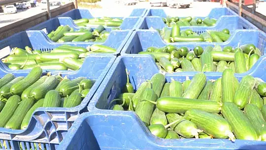 Çiftçi Özer Çakal, 'Çiftçinin emekleri ile bu kadar oynamasınlar'