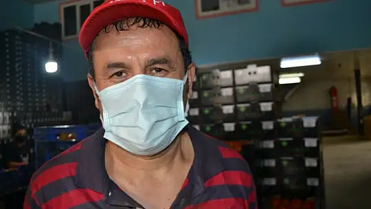 AB ülkelerine günlük 2 bin ton yaş sebze ve meyve gidiyor