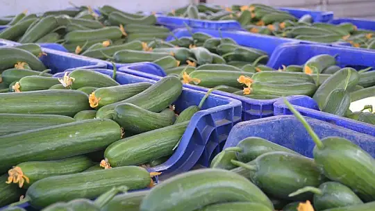 Çiftçi Özer Çakal, 'Çiftçinin emekleri ile bu kadar oynamasınlar'