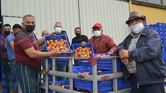 AB ülkelerine günlük 2 bin ton yaş sebze ve meyve gidiyor