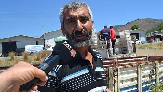 Salça işletmeleri domatesin çöpe gitmemesi için alımlara başladı