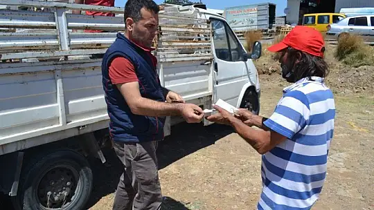 Salça işletmeleri domatesin çöpe gitmemesi için alımlara başladı