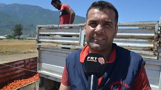 Salça işletmeleri domatesin çöpe gitmemesi için alımlara başladı