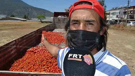 Salça işletmeleri domatesin çöpe gitmemesi için alımlara başladı
