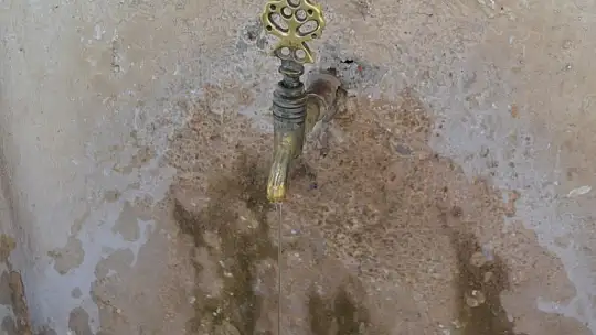 Cemile Şaşmaz, 'Kayaköy'ü kaçak yapılar bitiriyor'