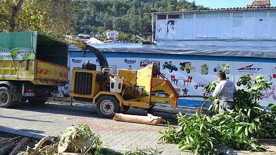 Tehlike oluşturan ağaçlar budanıyor