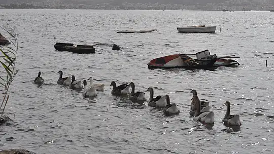 Fethiye Ördek Adası'nda Renkli Görüntüler