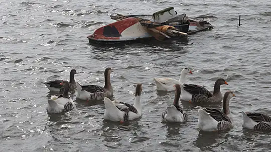Fethiye Ördek Adası'nda Renkli Görüntüler