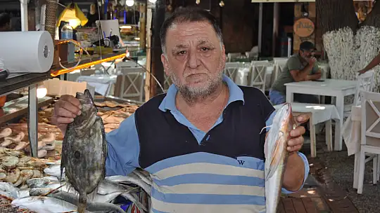 Vatandaşın Tercihi Küçük Balıklar Oldu