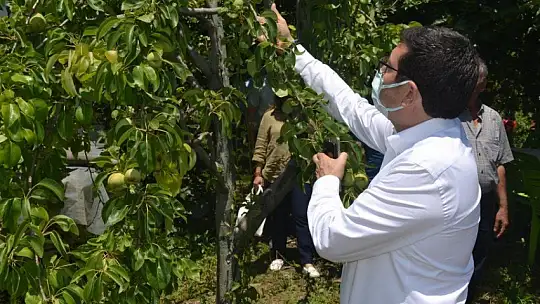 Müdür Saylak, Nif'li Üreticilerle Buluştu