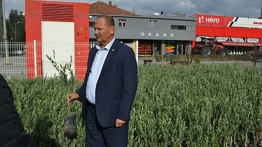 Ziraat Odası'ndan Zeytin Satışı