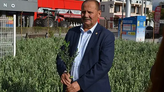 Ziraat Odası'ndan Zeytin Satışı