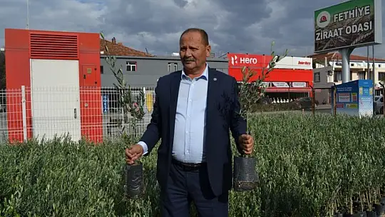 Ziraat Odası'ndan Zeytin Satışı