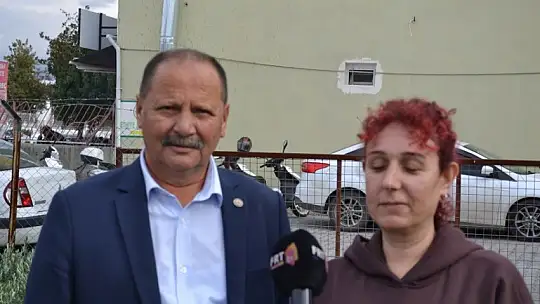 Ziraat Odası'ndan Zeytin Satışı