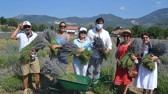 Fethiye'nin Koku Vadisi'nde İlk Hasat
