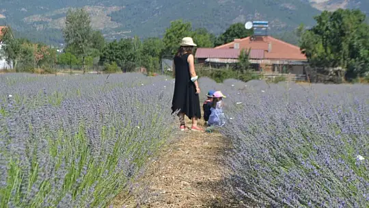 Fethiye'nin Koku Vadisi'nde İlk Hasat