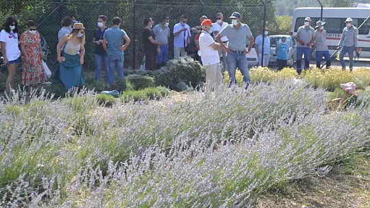 Fethiye'nin Koku Vadisi'nde İlk Hasat