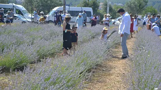 Fethiye'nin Koku Vadisi'nde İlk Hasat