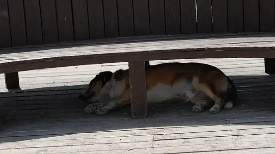 Çalış Plajı'nda çalışmalar devam ediyor