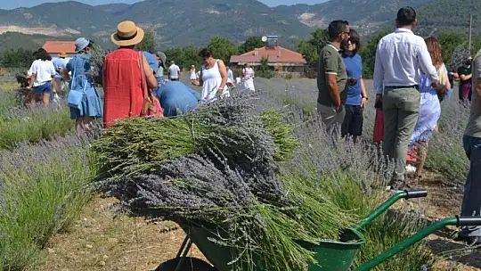 Fethiye'nin Koku Vadisi'nde İlk Hasat