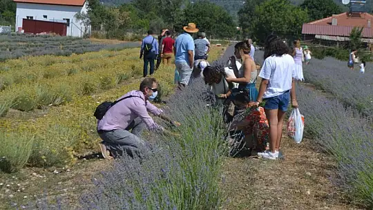 Fethiye'nin Koku Vadisi'nde İlk Hasat