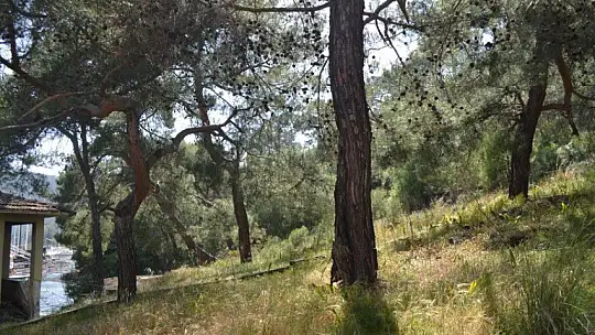 Karagözleriçi C Tipi Mesire Yeri ihalesi iptal oldu